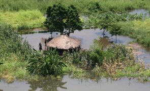 Desastres naturais mataram 135 pessoas desde outubro em Moçambique