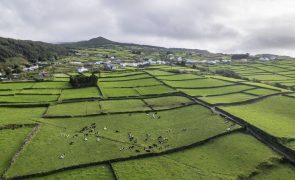 Quarto sismo sentido na ilha Terceira com magnitude 2,6 na escala de Richter