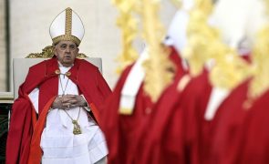 Papa não lê a homilia na missa do Domingo de Ramos