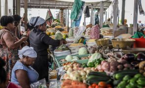 Igualdade de género progride, mas mercado da Praia mostra outra tradição