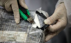 PJ apreende 41 mil doses de cocaína em Lisboa