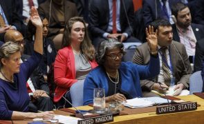 Conselho de Segurança da ONU exige cessar-fogo imediato durante Ramadão