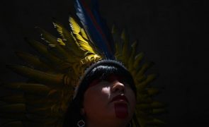 UNESCO compromete-se a fortalecer ações em prol dos povos indígenas brasileiros