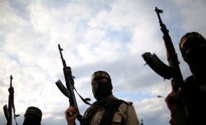 Estado islâmico emite apelo aos 'lobos solitários' para efetuarem massacres no ocidente