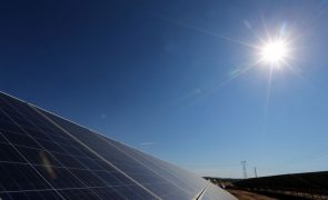 Angola vai poupar 3,3 ME com nova Central Fotovoltaica de Saurimo - Governo