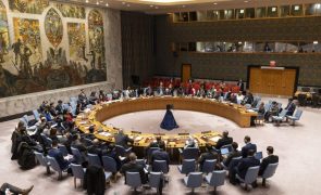 Palestina retoma processo para se tornar Estado-membro da ONU