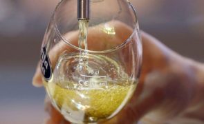 Taxa de consumidores abusivos ou dependentes do álcool triplicou desde 2017