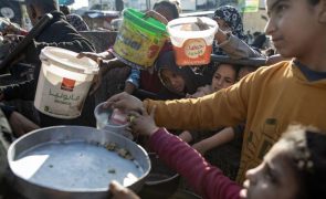 População do norte de Gaza com menos de 12% das calorias necessárias -- ONG