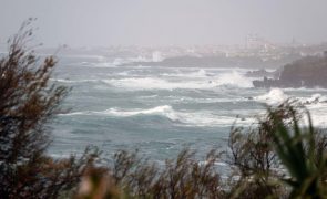 Açores com avisos amarelos por causa de precipitação, vento e agitação marítima
