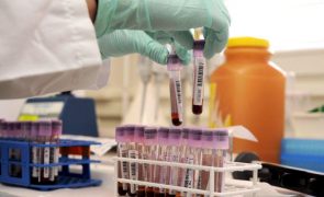 Grupo Ativistas em Tratamento quer testes às hepatites nos cuidados primários