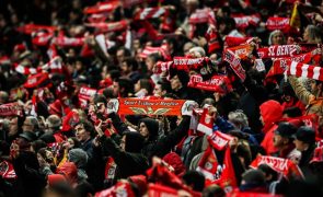Administração interna francesa autoriza adeptos do Benfica em Marselha