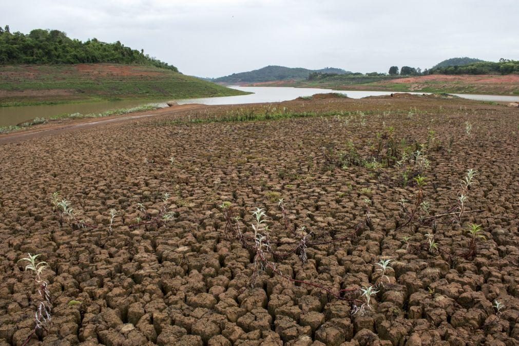 Estação seca vai dificultar acesso a comida a quase 55 milhões de africanos