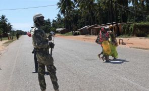 Rebeldes matam mais um camponês em Ancuabe, Moçambique