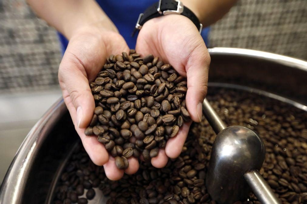 Tipo de café mais popular do mundo tem mais de meio milhão de anos