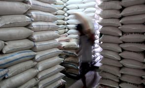 População guineense denuncia falta do arroz, Governo desdramatiza situação