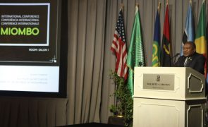 PR de Moçambique pede conversão da dívida dos países africanos em fundos do clima