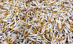 Apreendidos em Espanha milhões de cigarros falsificados e 33 toneladas de folhas de tabaco