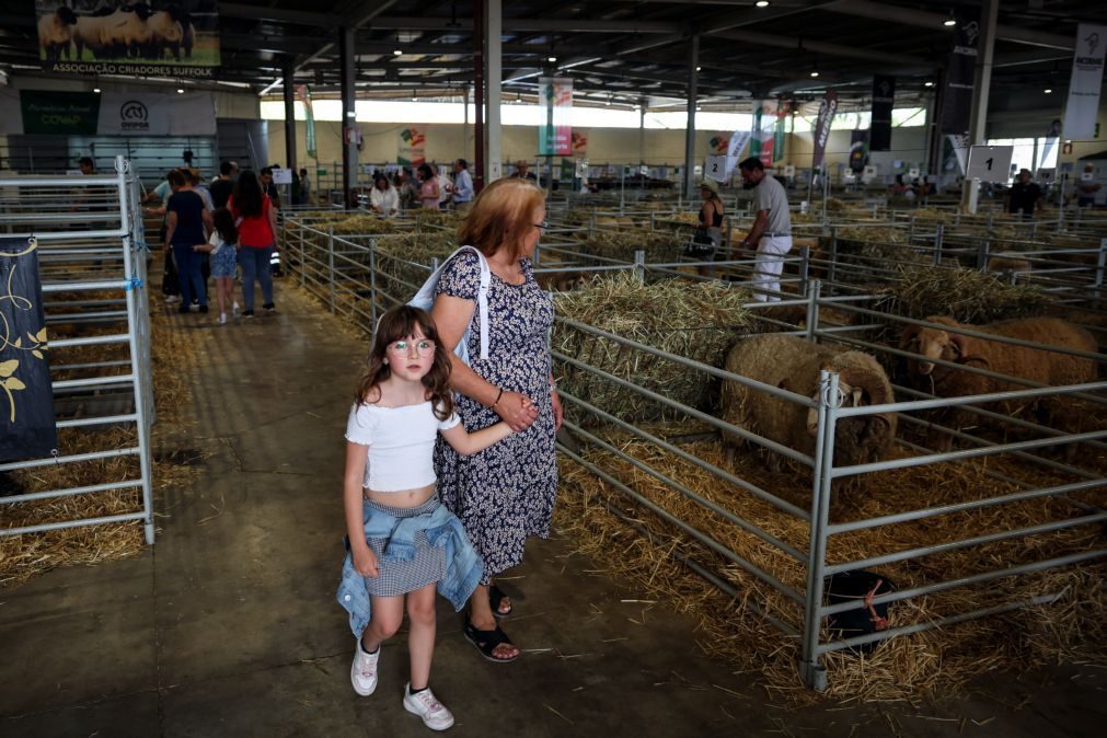 Feira agrícola Ovibeja celebra 40 anos e é dedicada ao associativismo