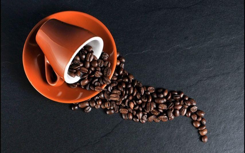 Café ou descafeinado - Saiba as diferenças e conheça os benefícios