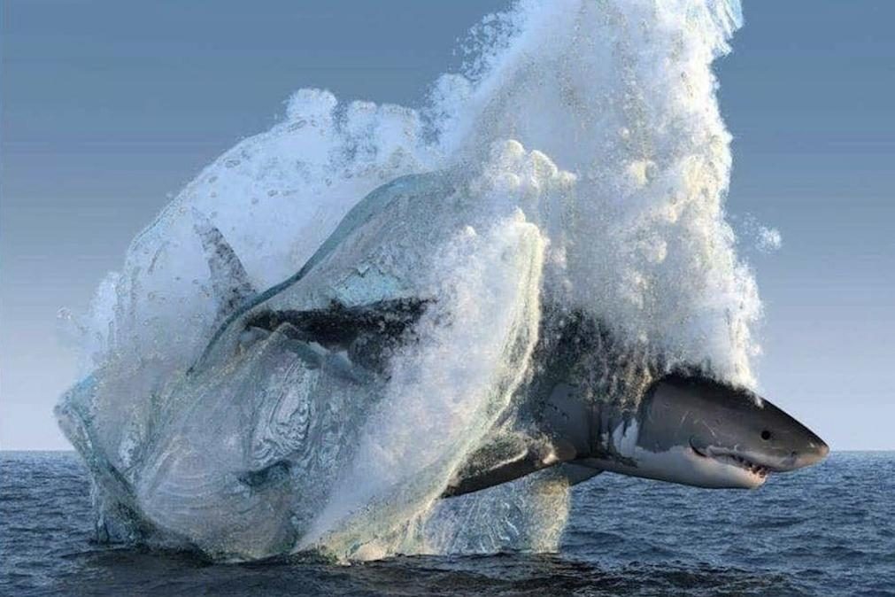 Deep Blue – Maior tubarão-branco do mundo capturado em vídeo