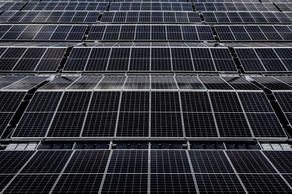 China responsável por mais de 80% do investimento global no fabrico de painéis solares