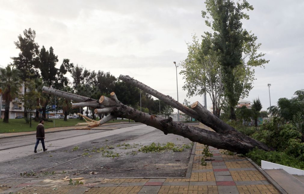 Tempestade Ana causa um morto, derruba 389 árvores e provoca 37 inundações