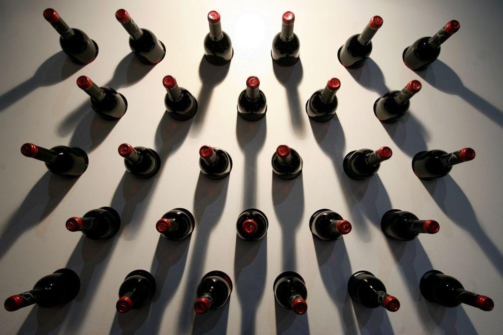 Angola comprou um milhão de litros de vinhos do Alentejo em 2023