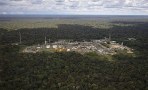 Governo brasileiro celebra diminuição da desflorestação na Amazónia