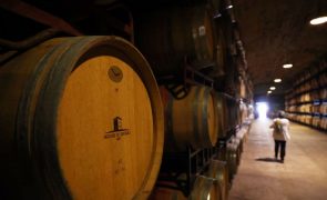 Exportações de vinhos portugueses sobem para 212 ME até março