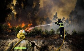 Meios de combate a incêndios florestais reforçados a partir de hoje