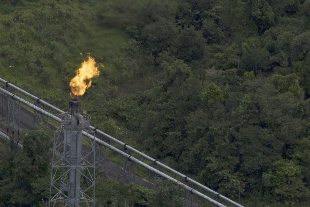 Petrobras e TotalEnergies lançam extensão de dois campos petrolíferos no Brasil