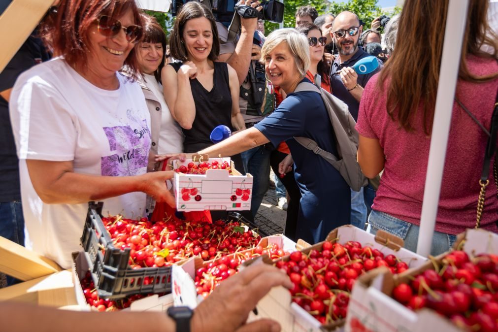 Marta Temido diz que quem conhece bem setor da saúde