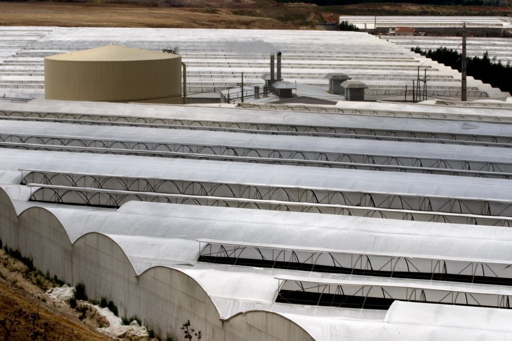 Consumo de gás natural em Portugal atinge novo máximo histórico