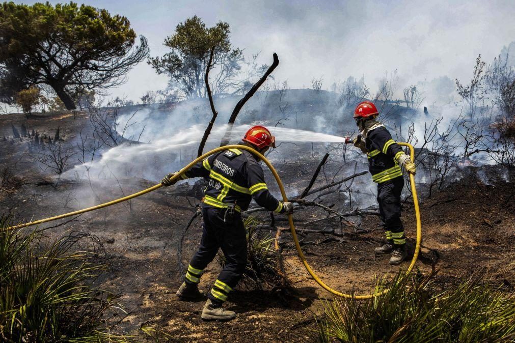 Número de fogos do primeiro semestre é o mais baixo desde 2014