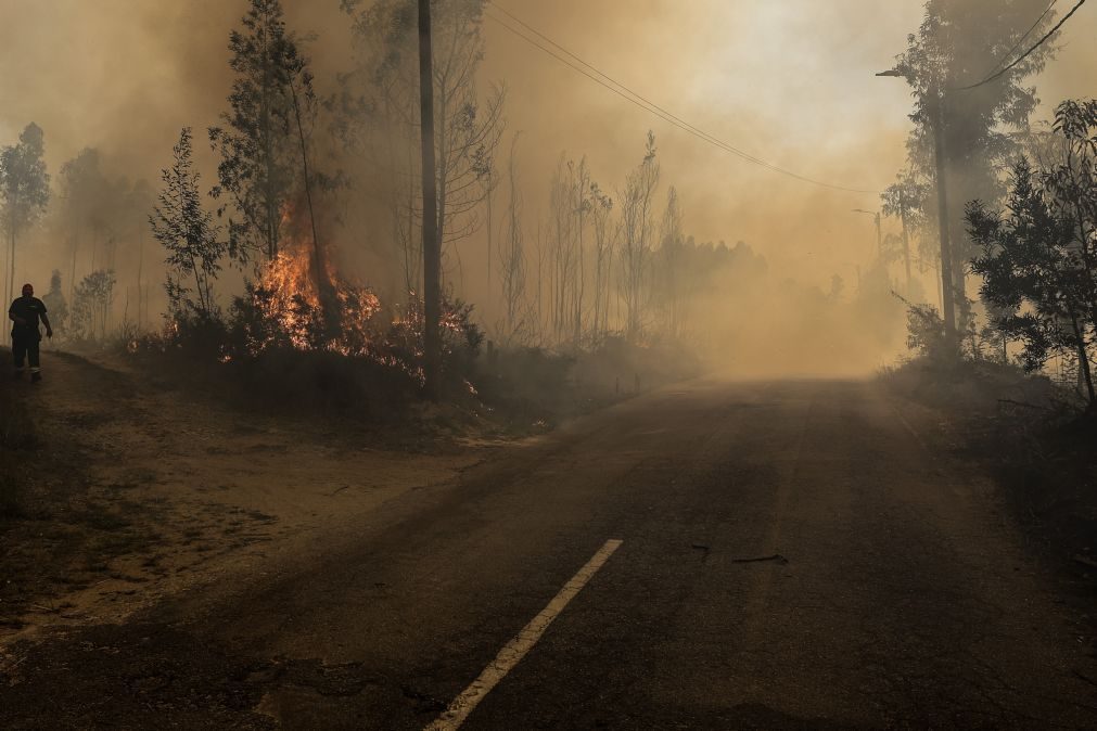 Incêndios cortam estradas em Aveiro, Coimbra, Viseu, Vila Real, Braga e Porto