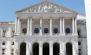 Parlamento recorre da decisão do STA sobre o caso gémeas e considera que tribunal invadiu a suas competências