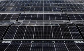Energia solar ligada à rede de transporte duplica para 1.555 MW em 2024