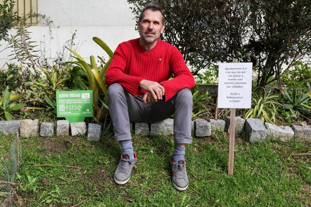 Jardins de Plantas Doadas devolvem beleza a canteiros vazios de Lisboa