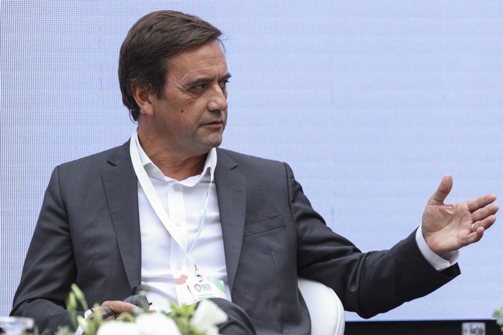 CEO da TAP desvaloriza atraso de