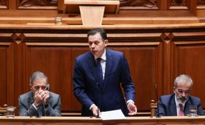 Montenegro considera 