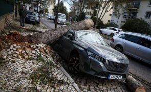 Portugal com 747 ocorrências até às 22:00 de sábado devido ao mau tempo