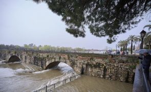 Subida do rio Tejo faz cair parte de ponte romana no centro de Espanha