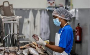 Preços das exportações de Cabo Verde mantêm tendência de valorização
