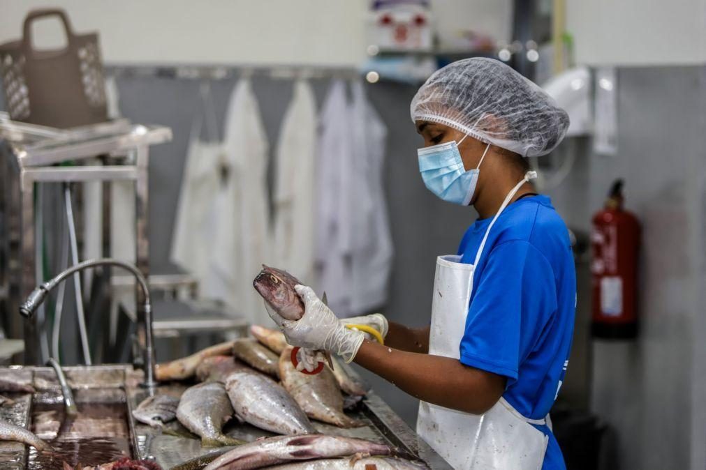 Preços das exportações de Cabo Verde mantêm tendência de valorização