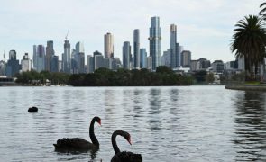 Alterações climáticas e ondas de calor estão a dizimar oxigénio nos lagos
