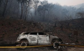 Série de fogos florestais já fez 18 mortos na Coreia do Sul