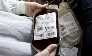 Federação de dadores de sangue quer mais profissionais de saúde dedicados às colheitas