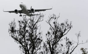 Companhias aéreas da UE alertam para falta de combustível de aviação sustentável