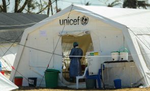 Unicef pede medidas face ao impacto dos acidentes de viação nas crianças moçambicanas