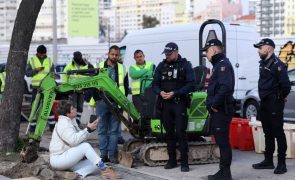 Contestatários de abate de jacarandás em Lisboa registam intransigência para alteração de planos
